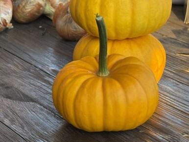 ��� ������� ��������� �����: ������������, ��������� ��� ������������?