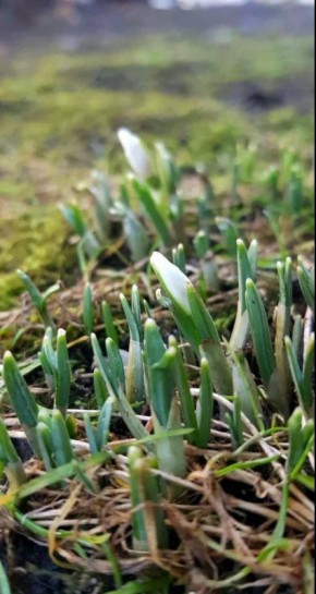 �������� �� ���������� ��������� ���������� � ������� �� �����, ������� �� �� ���������� ��� � �������������� �����