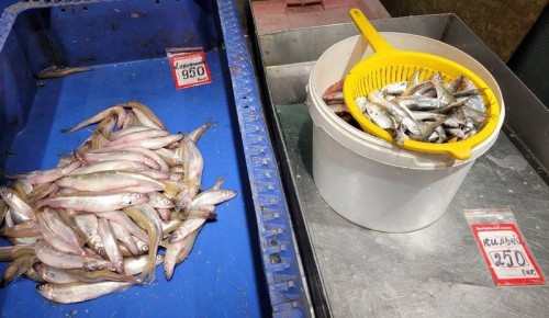 ����������� ������� ������� �������������� ����