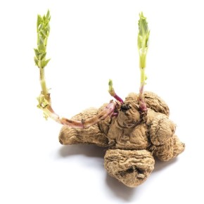 ��� ����� ���������� �������� � �������� ��������� ����� � ���� ����