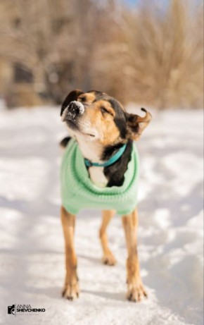 � ��������������� ������� ���� ��� ������ �������� �� �� ������ �������