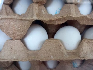 ������� ������� ������ ����� ��-�� ��� � ��������������� �������