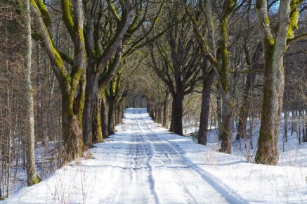 Доброе утро, Калининградская область