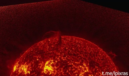 ������ ��������� ���������� ������������: ��� ��� �������� �� �����