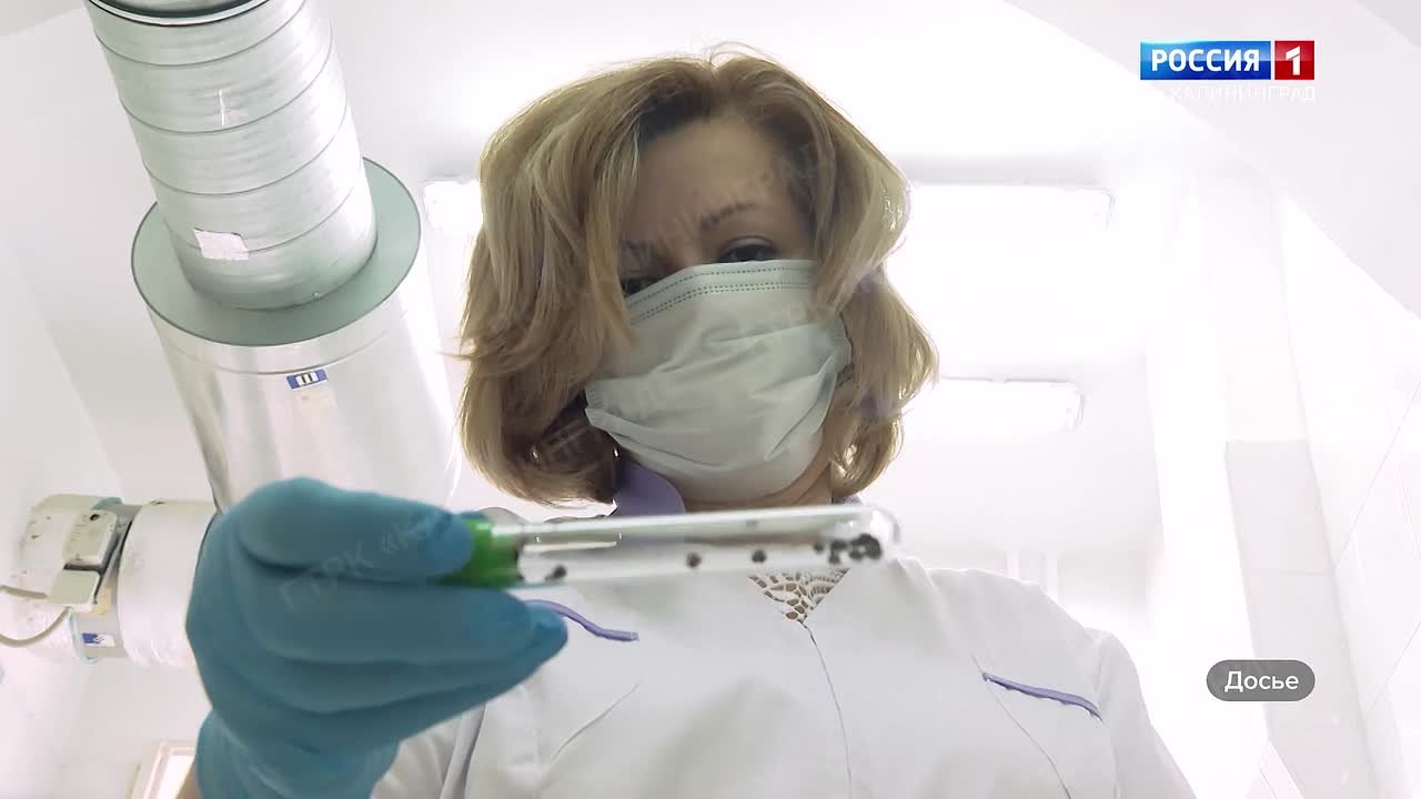 Весна пришла, а вместе с ней проснулись и клещи! Почему наш регион считается эндемичным по клещевому энцефалиту? Когда нужно ставить прививку? И что делать, если укус уже произошел?