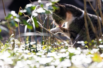 � 8 ����� � ��������������� ������� ��������� �� +15�C