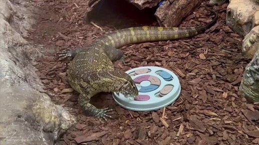 �������� ����� ����� ������������� ������ �������� � ��������