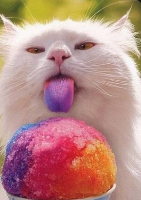 �� ������������ ��������� ������� � ��������� � ����������� ������ ��� ��������