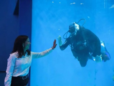 5 ����� � ��������� �������� ����̻ � ��� � ������:�