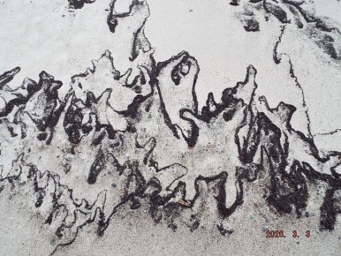 ���� ���� � ���������� ��������