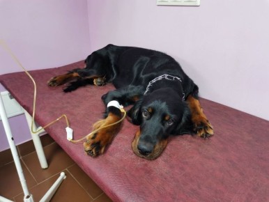 ��� ������, ���� ���� ������ �������� ������� �������� ��?