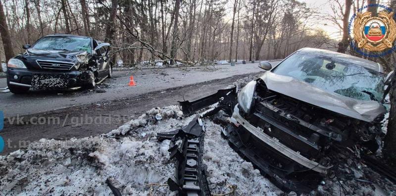 У свалившегося на балтийскую трассу дерева произошло ДТП
