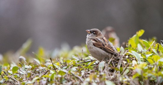 � ��������������� ������� ���������� ����� �� +15 �� ���� ���������������� ���������� � ������