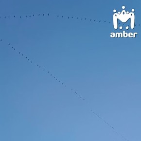 ����������� ��� ��� ������ � ��������������� �����