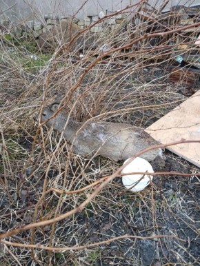 � ��������������� ������ ������ ������� ������