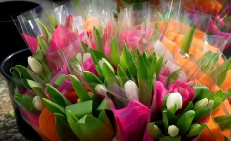 ������ ������ ������� ��������� ����� �� ������������