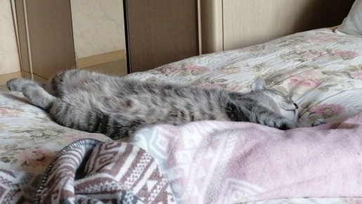 ���������: �������� ������ � ���������� � �������� �����