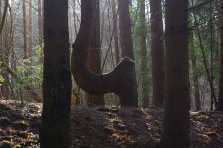 ������ ����! � ��������������� ������� ���� �� +8�C, ������� �������� ������