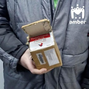 ������� � ���������� �����������