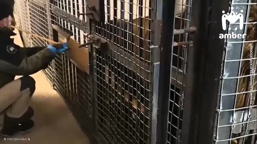 �� ����� � ��� ������ �� � ����� ����������� ���������