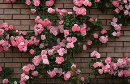 ������ ��� ���: ��� ������� ��������� ��������� ����������