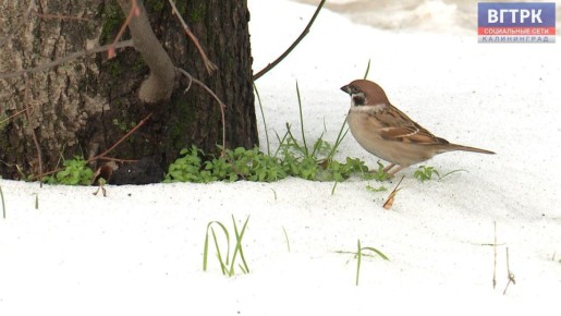 ������ �������� ����������, �� ������, ���� �� ����� ���������