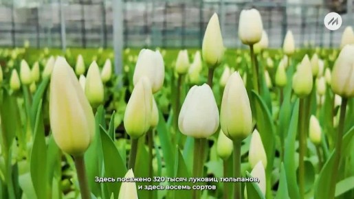 ����� ��������� �����!. ��� ����������� � ������ ������������� ������������