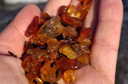 ������� ����!�: ������ ���������� � ��� ������ ��������������� �������