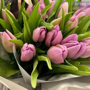 ������ ����!. ����� ���� ���� �������� � ������� �������� ������ � ������������ ���������