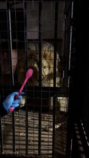 ��� � ��������������� �������� �������� ���� ������� ���������� �� ��������