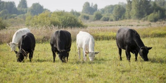 1 ��������������� ������� ��������� ������������� � ��� 170 ���� ������