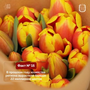 � ��������������� ������� ������������ ������������� ���������� ������ �����������