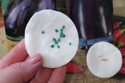 ��� ��������� ����� ��������� �� �������: ������� ��������� ������