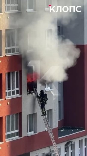 ������������ 132 ��������, � ��� ����� 36 �����: ����������� ������ �� ��������������