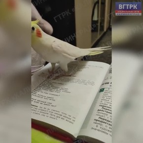 ����������� ������� �� ������ �������� �������� ������� �� ������� ������� ������ ����������� ��������