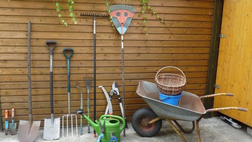 ��� ������� ��������� ����� ��� ������ ����