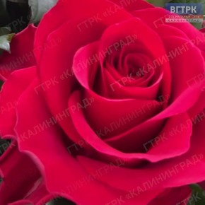 � 8 �����!. ����� ���� ���� ������ ������� ��������� �� ����� ����� � �������� � ����� ����� ������