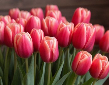 ������� �� ����������� ������, ������� ������ ��� ������ ����� ������ ����