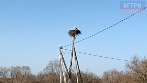 ��� ��-���������� ������ � ������������ ����!