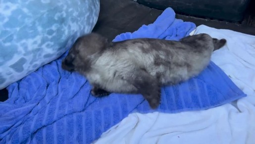 �� ���� ���������� ����� ����� �������� ����� � ������ �� ���� ����