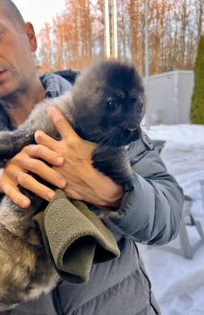 ������������� ����� ����� �� ��������� �����