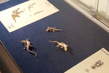 � ����� ������ ������� �������� ��������� ���������, ������� ������� � 6 ��� ������