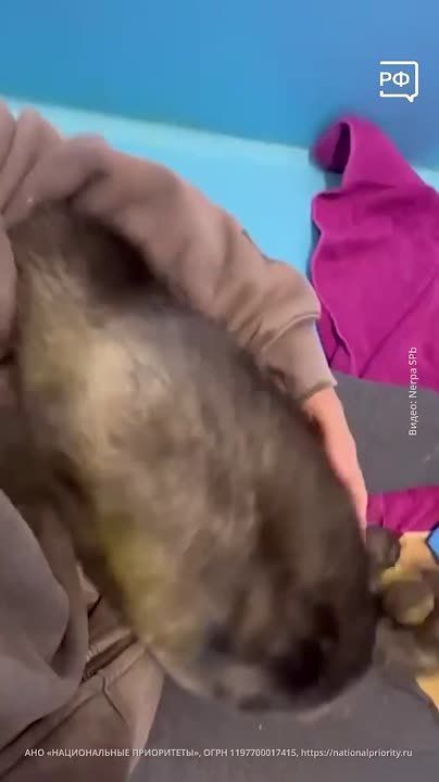 ������������ ����� ����� �� ������