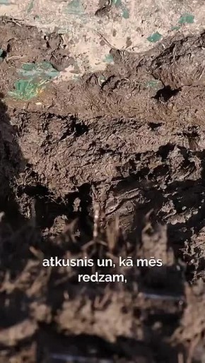 ���������� ������ ������ ��������� ������� ����������� �� �������������� ������