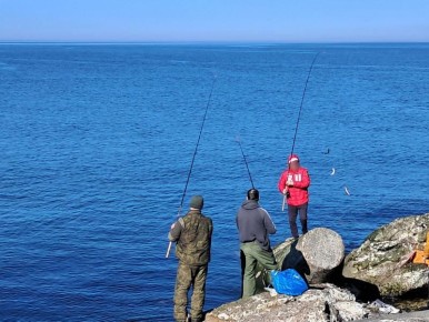 ������� ����� ���������!�: ��� ������������� ���������� ������ �������