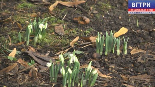 ������ ������ � ������� ���������� ������� ����