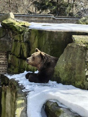 ���� ���������. � ��� ���, ������, ���� ����� ����� ����