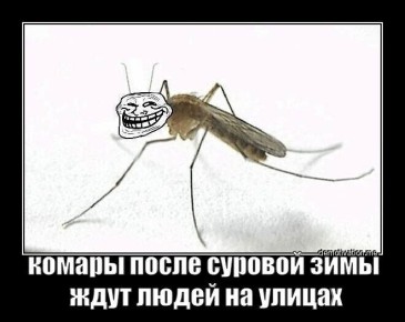 ���������� �������������: ���� ������ ������� ����� ����� ��������� �������