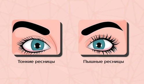 ��� ���� ������� ������� � ���: ����������� ���� �� ��������