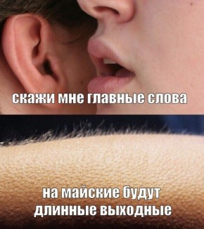 ����� ������� ���� ��������� ������� ��������